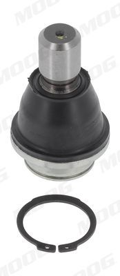 Šarnyras / girgždukas MOOG RE-BJ-17548