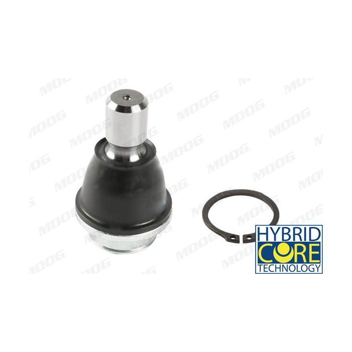 Šarnyras / girgždukas MOOG RE-BJ-17548