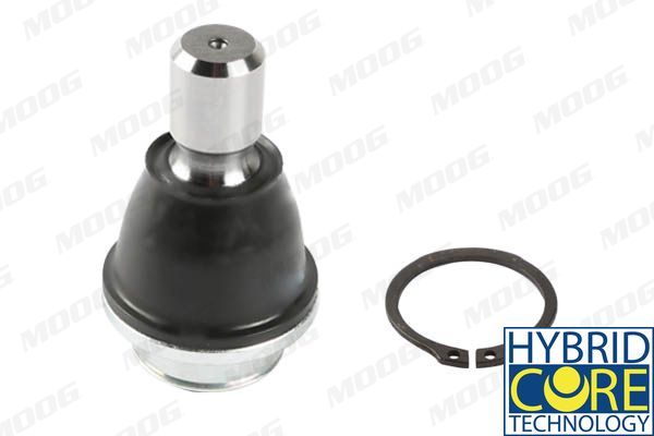 Šarnyras / girgždukas MOOG RE-BJ-17548