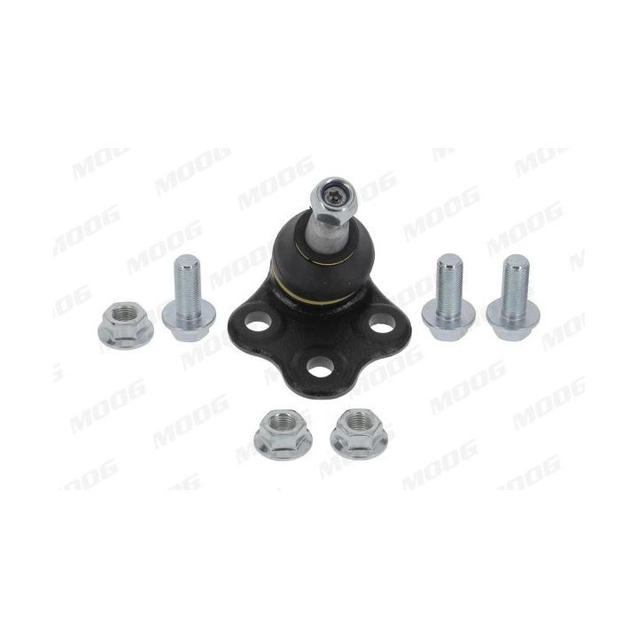 Šarnyras / girgždukas MOOG RE-BJ-17703