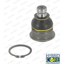 Šarnyras / girgždukas MOOG RE-BJ-2832