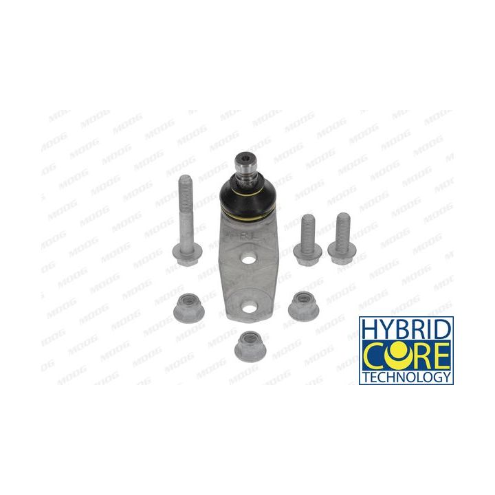 Šarnyras / girgždukas MOOG RE-BJ-4264