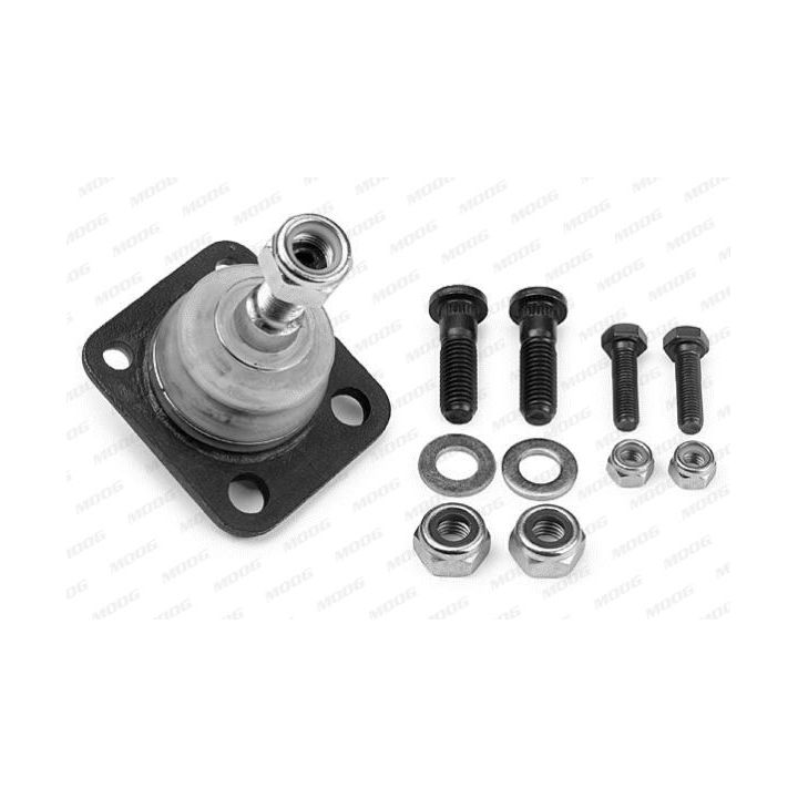 Šarnyras / girgždukas MOOG RE-BJ-4295