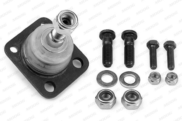 Šarnyras / girgždukas MOOG RE-BJ-4295