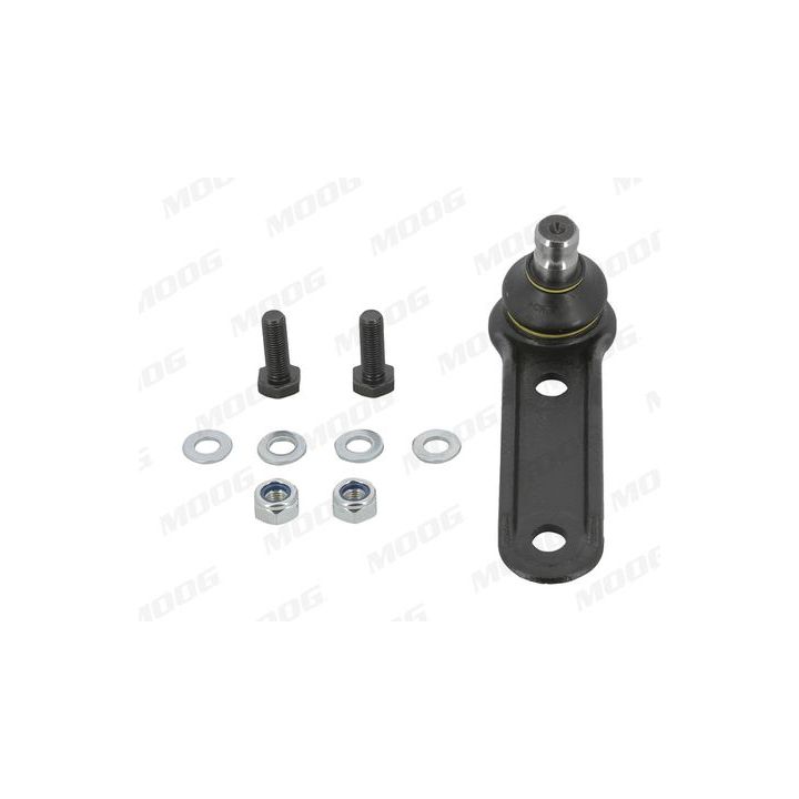 Šarnyras / girgždukas MOOG RE-BJ-5745