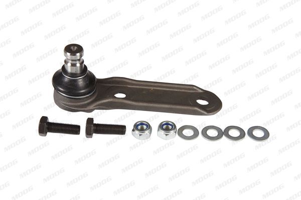 Šarnyras / girgždukas MOOG RE-BJ-5745