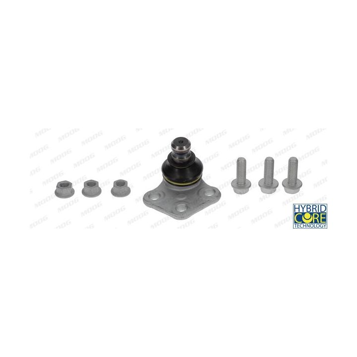 Šarnyras / girgždukas MOOG RE-BJ-7432