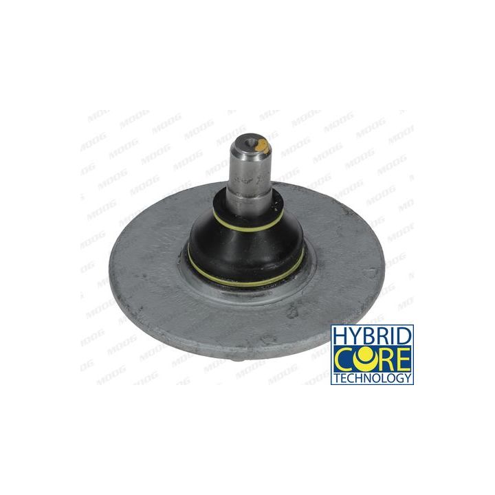 Šarnyras / girgždukas MOOG RE-BJ-7906