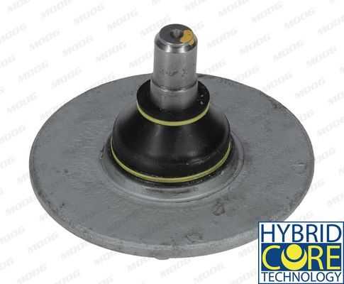 Šarnyras / girgždukas MOOG RE-BJ-7906