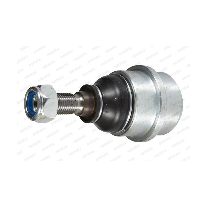 Šarnyras / girgždukas MOOG RO-BJ-0773