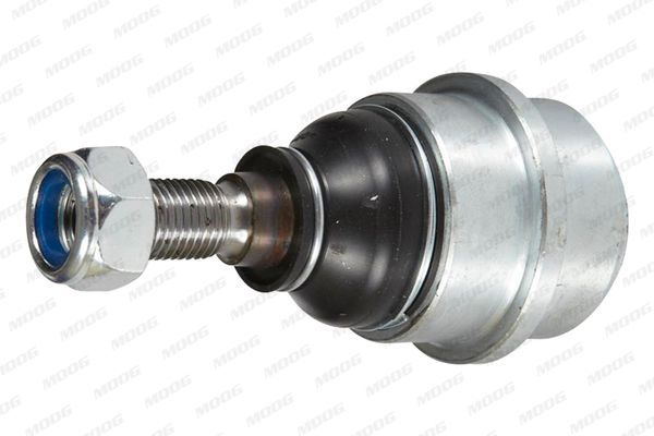 Šarnyras / girgždukas MOOG RO-BJ-0773