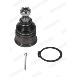 Šarnyras / girgždukas MOOG RO-BJ-104170