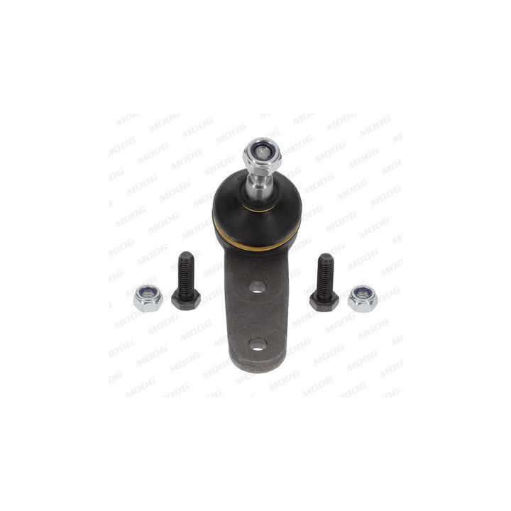 Šarnyras / girgždukas MOOG RO-BJ-3549