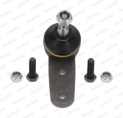 Šarnyras / girgždukas MOOG RO-BJ-3549