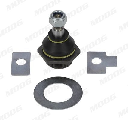 Šarnyras / girgždukas MOOG RO-BJ-3562