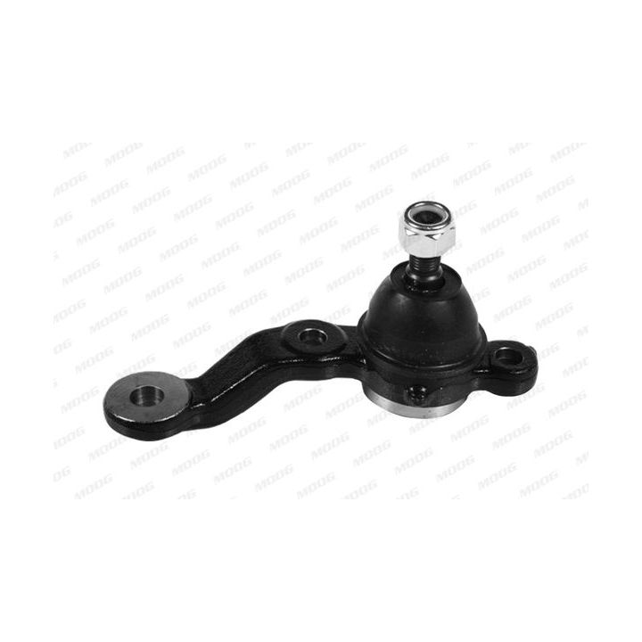 Šarnyras / girgždukas MOOG TO-BJ-10640