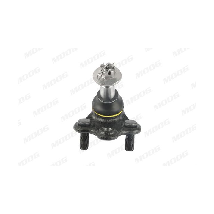 Šarnyras / girgždukas MOOG TO-BJ-18005
