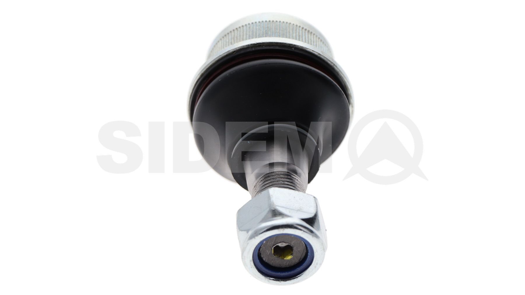 Šarnyras / girgždukas SIDEM 20081