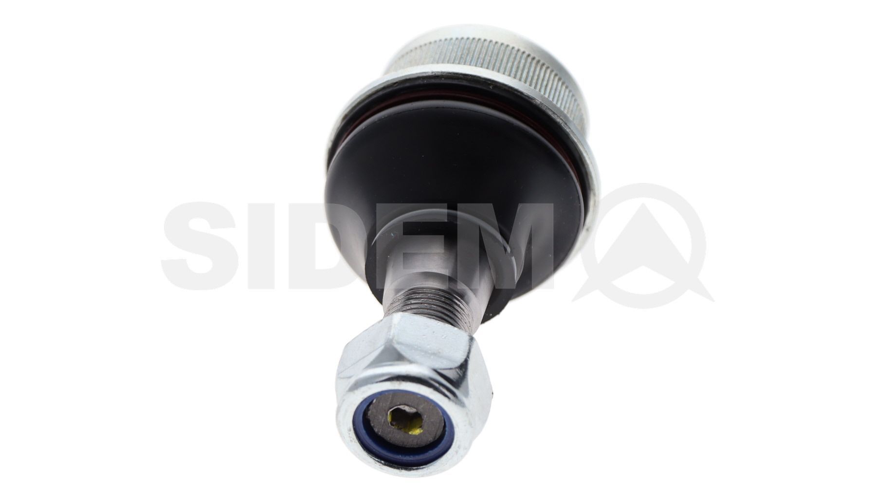 Šarnyras / girgždukas SIDEM 20081