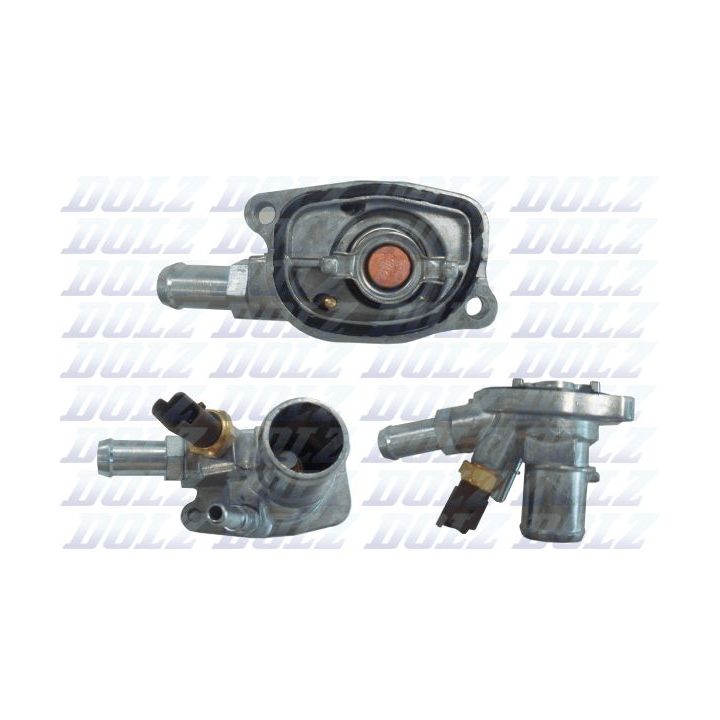 Termostatas, aušinimo skystis DOLZ THF021