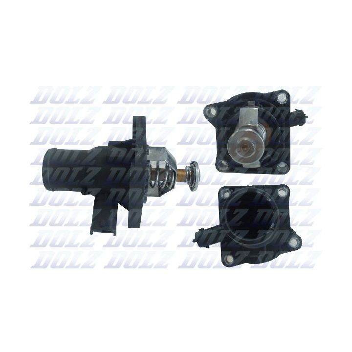 Termostatas, aušinimo skystis DOLZ THO020