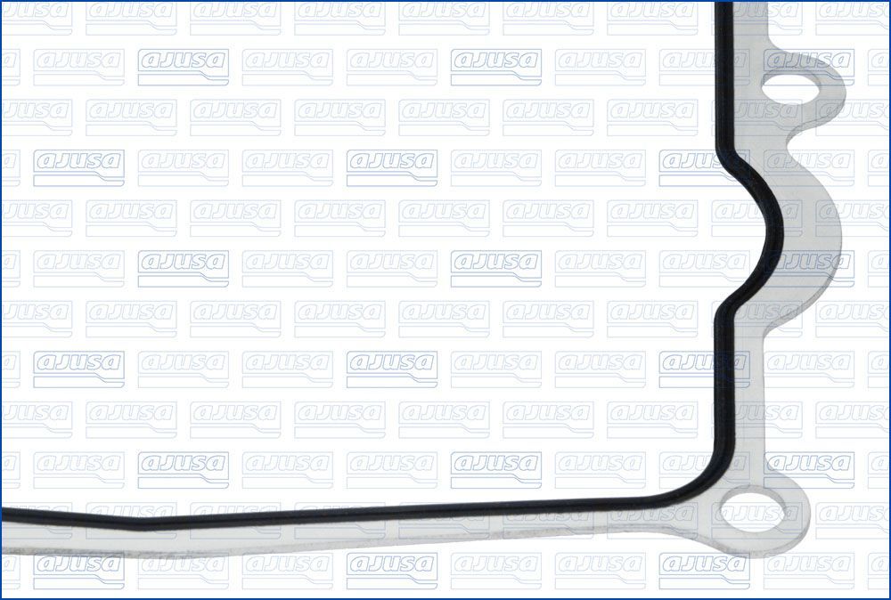 Tarpiklis, įsiurbimo kolektoriaus korpusas AJUSA 01478800