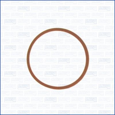 Tarpiklis, įsiurbimo kolektoriaus korpusas AJUSA 13148400