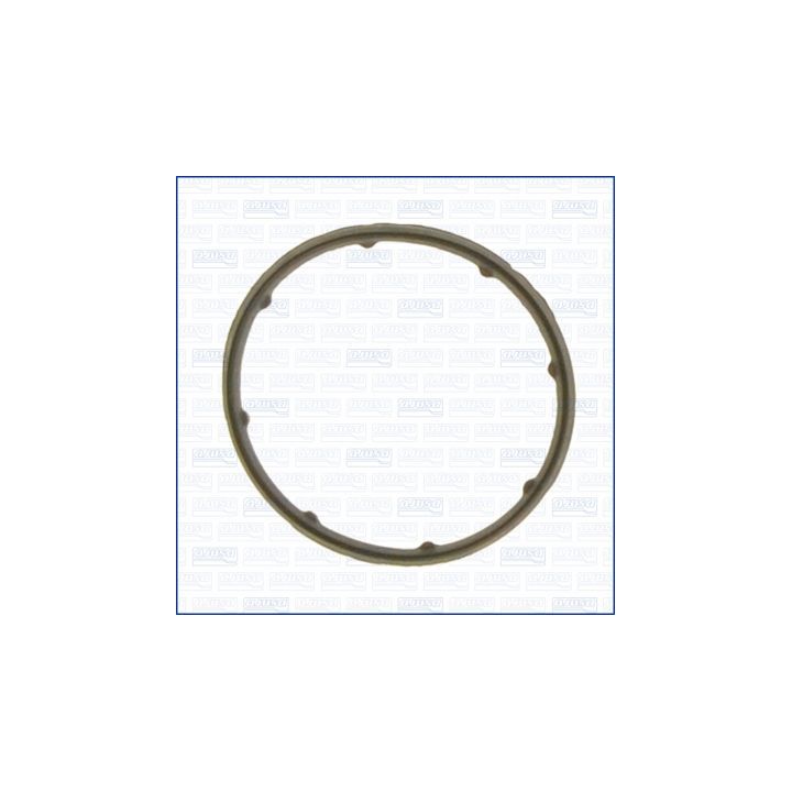 Tarpiklis, įsiurbimo kolektoriaus korpusas AJUSA 13183500