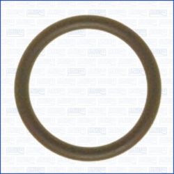 Tarpinio suslėgto oro aušintuvo tarpiklis AJUSA 16012100