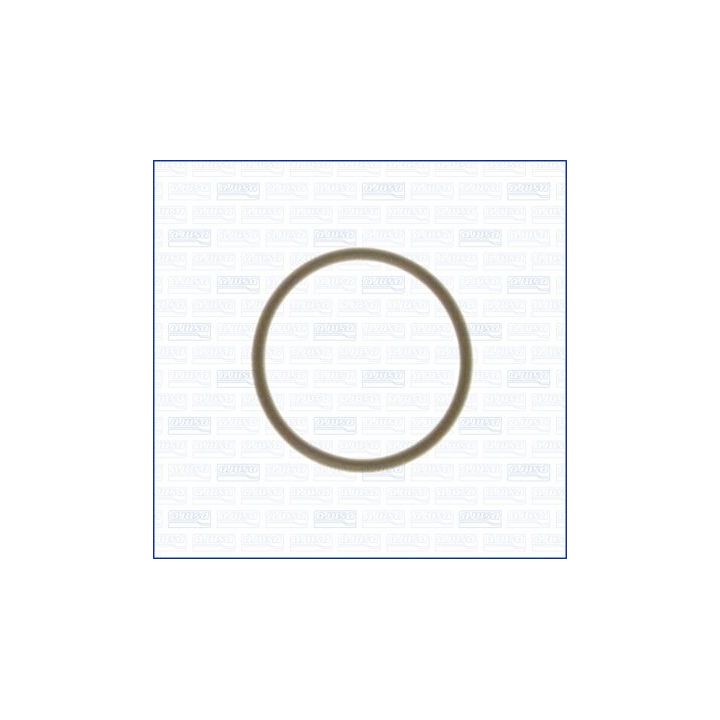 Tarpiklis, purkštuko laikiklis AJUSA 16016500