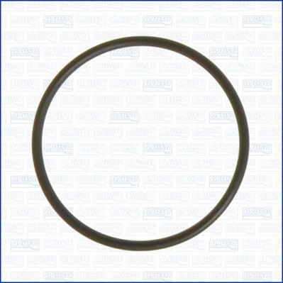 Tarpiklis, vandens siurblys AJUSA 16054100