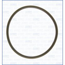 Tarpiklis, įsiurbimo kolektorius AJUSA 16074700