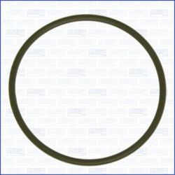 Tarpiklis, įsiurbimo kolektoriaus korpusas AJUSA 16508700