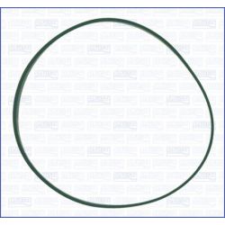 Tarpiklis, įsiurbimo kolektoriaus korpusas AJUSA 24039400