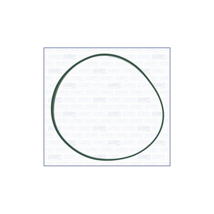 Tarpiklis, įsiurbimo kolektoriaus korpusas AJUSA 24039400