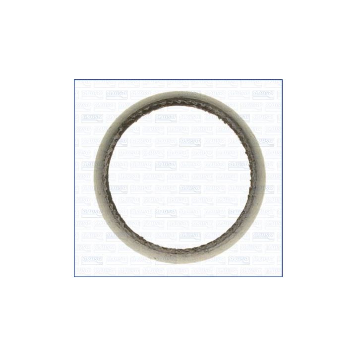 Tarpiklis, išleidimo kolektorius AJUSA 01020600