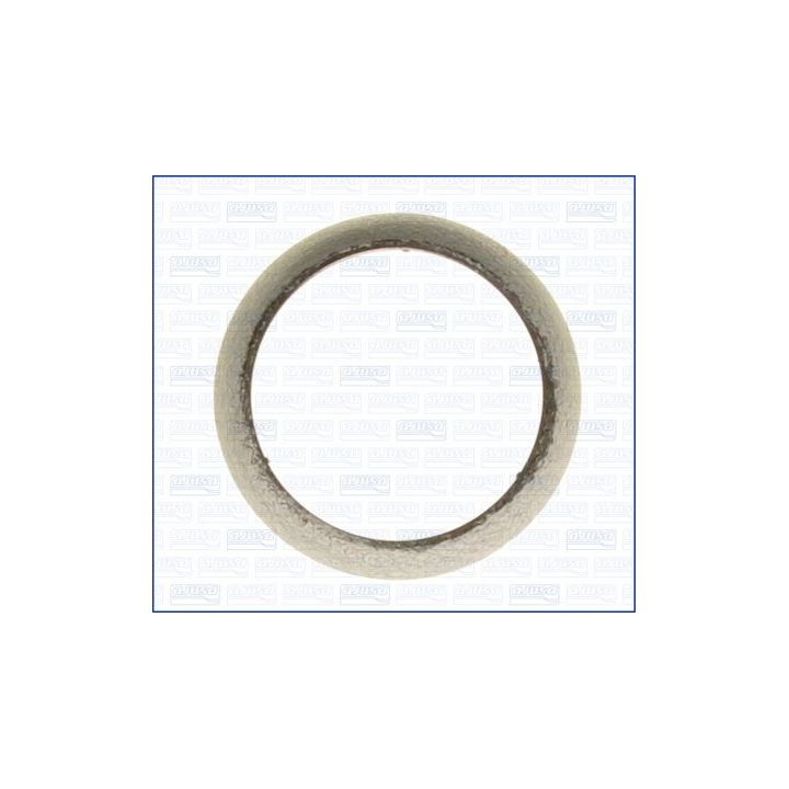 Tarpiklis, išleidimo kolektorius AJUSA 01163900