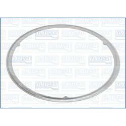 Tarpiklis, išleidimo kolektorius AJUSA 01249000