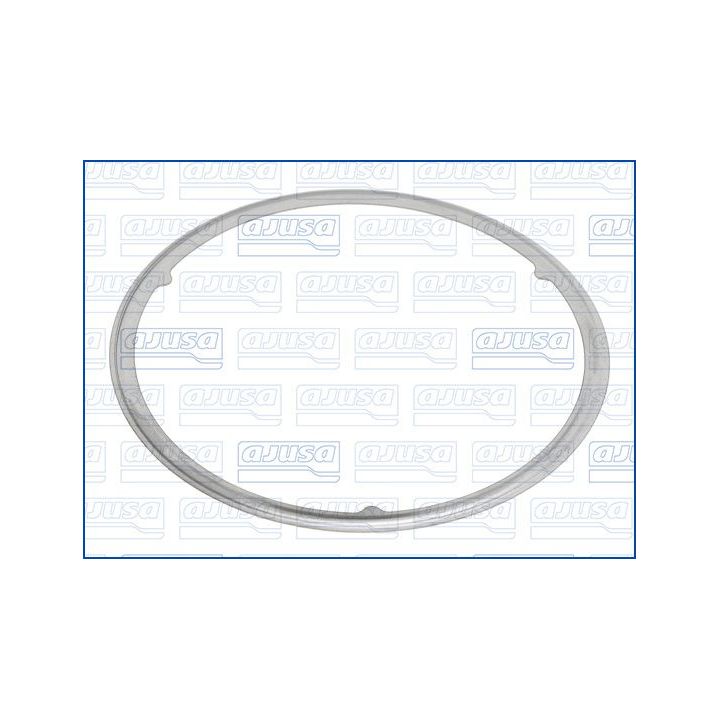 Tarpiklis, išleidimo kolektorius AJUSA 01249000