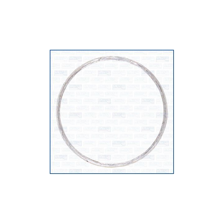 Tarpiklis, išleidimo kolektorius AJUSA 01525500