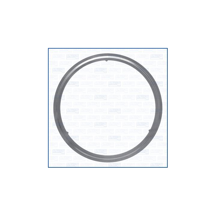 Tarpiklis, išleidimo kolektorius AJUSA 01559300