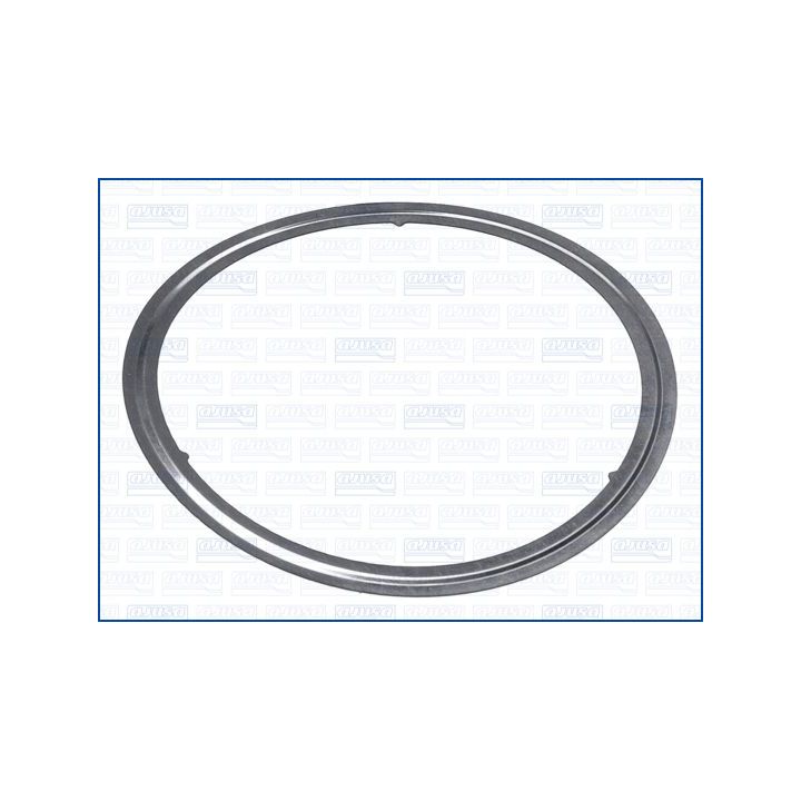 Tarpiklis, išleidimo kolektorius AJUSA 01559300