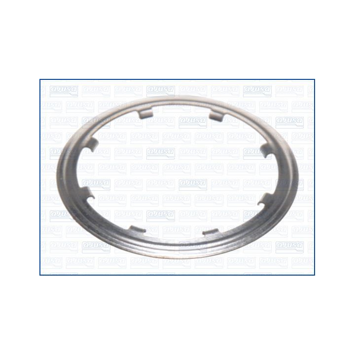 Tarpiklis, išleidimo kolektorius AJUSA 01589200