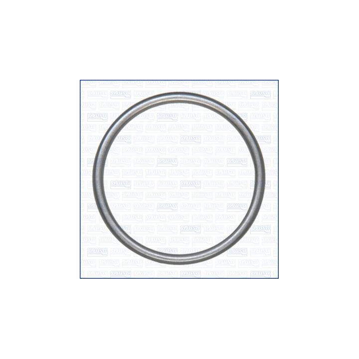 Tarpiklis, išleidimo kolektorius AJUSA 18007100