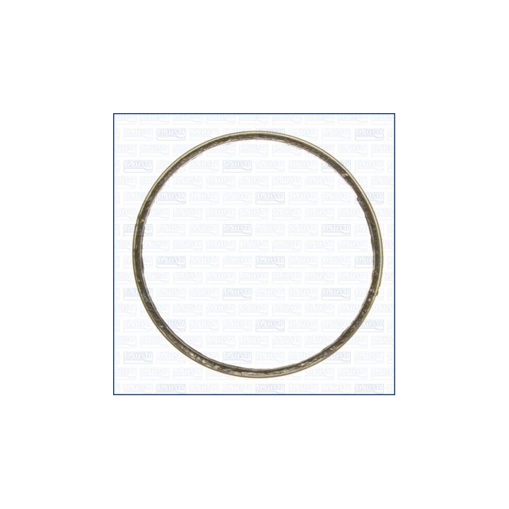 Tarpiklis, išleidimo kolektorius AJUSA 19004800