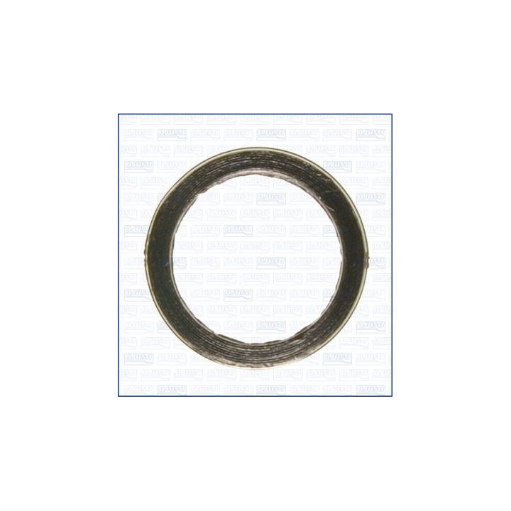 Tarpiklis, išleidimo kolektorius AJUSA 19005700