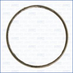 Tarpiklis, išleidimo kolektorius AJUSA 19005800