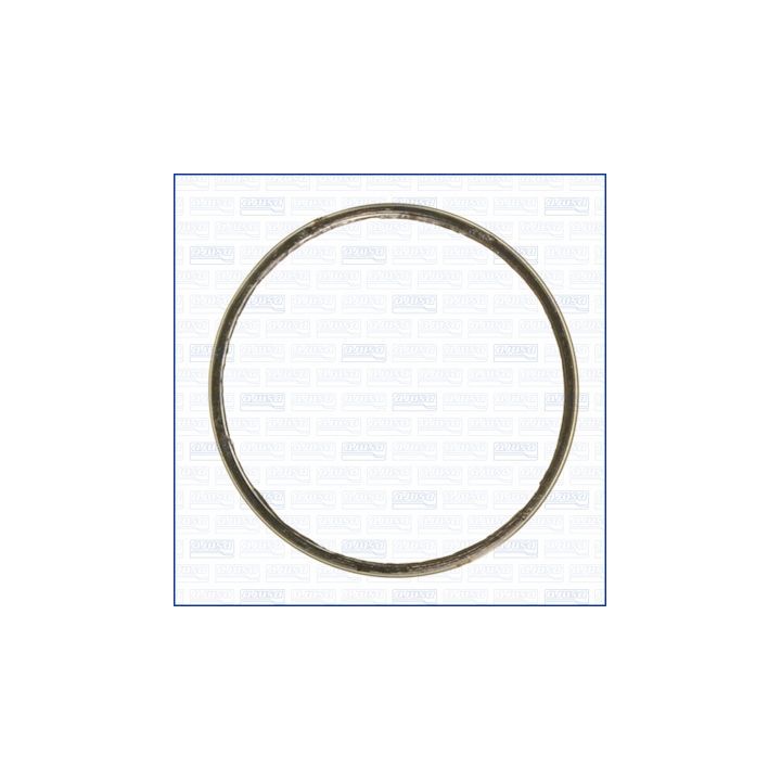 Tarpiklis, išleidimo kolektorius AJUSA 19005800