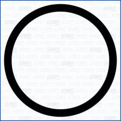 Tarpiklis, išleidimo kolektorius AJUSA 19009000