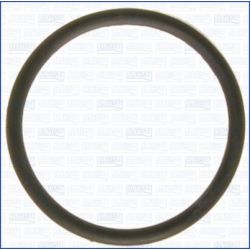 Tarpiklis, termostatas AJUSA 00538200